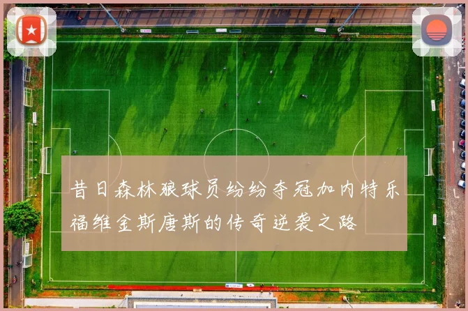 昔日森林狼球员纷纷夺冠加内特乐福维金斯唐斯的传奇逆袭之路